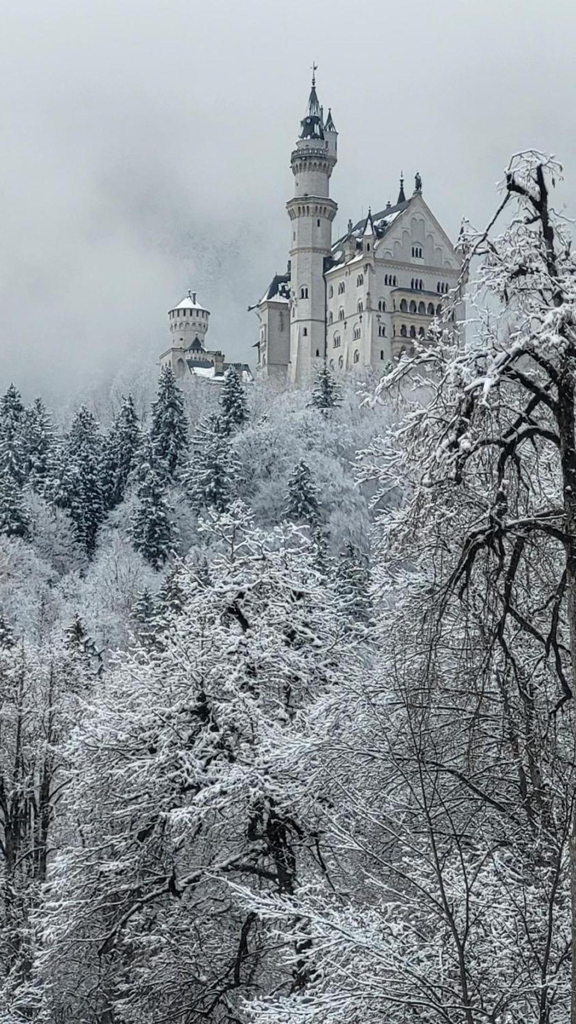 House La Neuschwanstein Blick - Budget City Hotel Füssen Exteriér fotografie