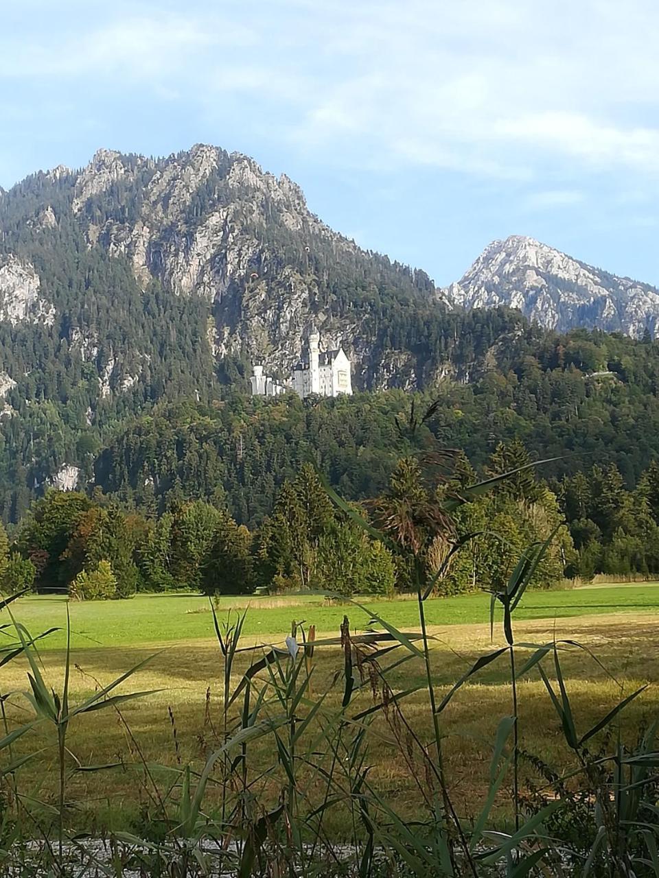 House La Neuschwanstein Blick - Budget City Hotel Füssen Exteriér fotografie